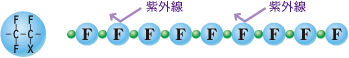 ルミステージ　分子構造