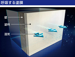 呼吸する塗膜